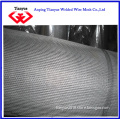 Stainless Steel Wire Netting for Filter